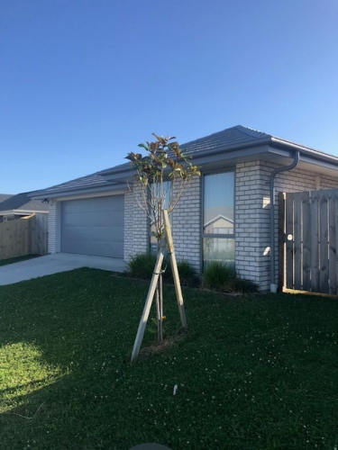 11 Olivia Road