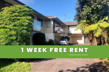 3/8 Orakau Avenue