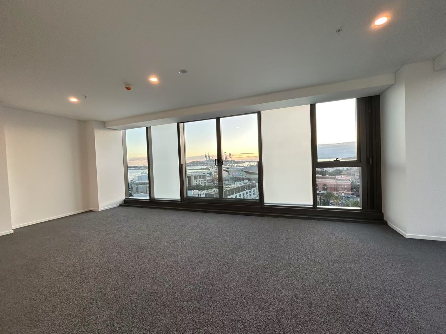 A Hidden Pearl In 100 Anzac Ave! - photo 6