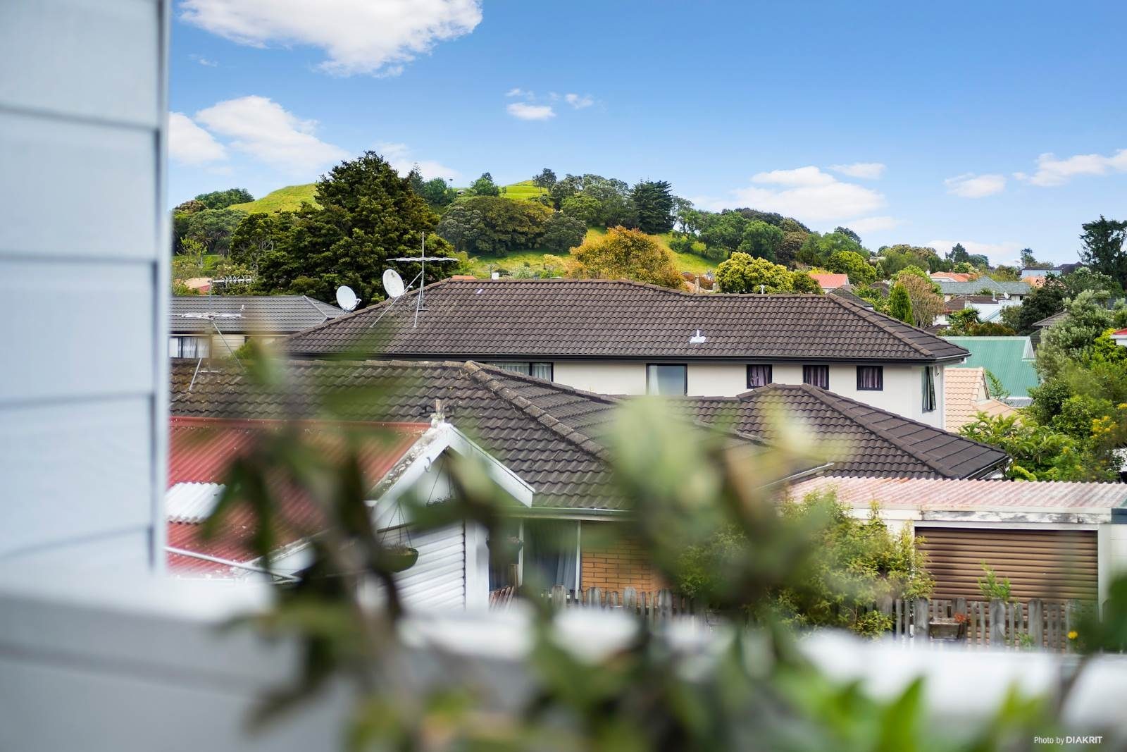 Situated on a gently elevated, single-level site in the heart of Mount Roskill - photo 14