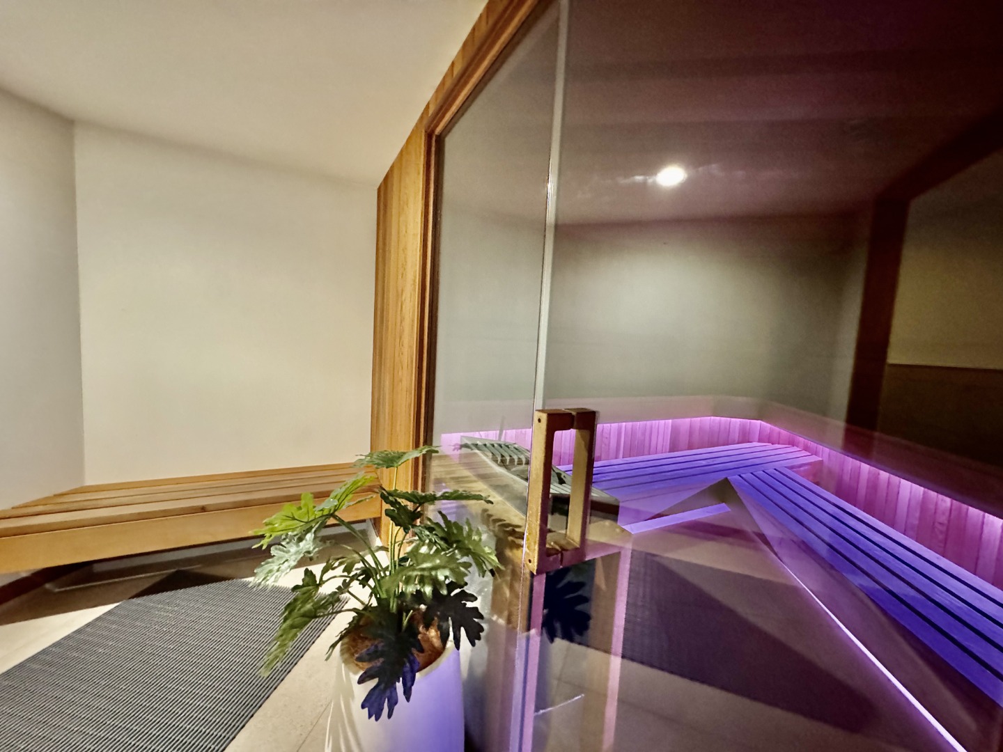 SPARKLING HARBOUR VIEWS - AUCKLAND VIADUCT 