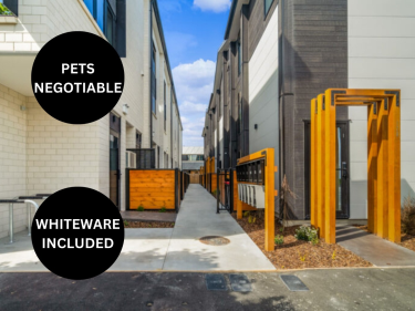 Christchurch Rentals