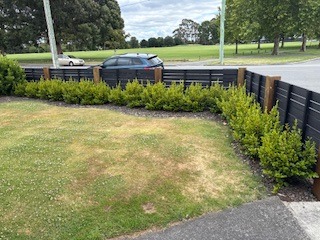 48 Rose Street, Somerfield, Christchurch