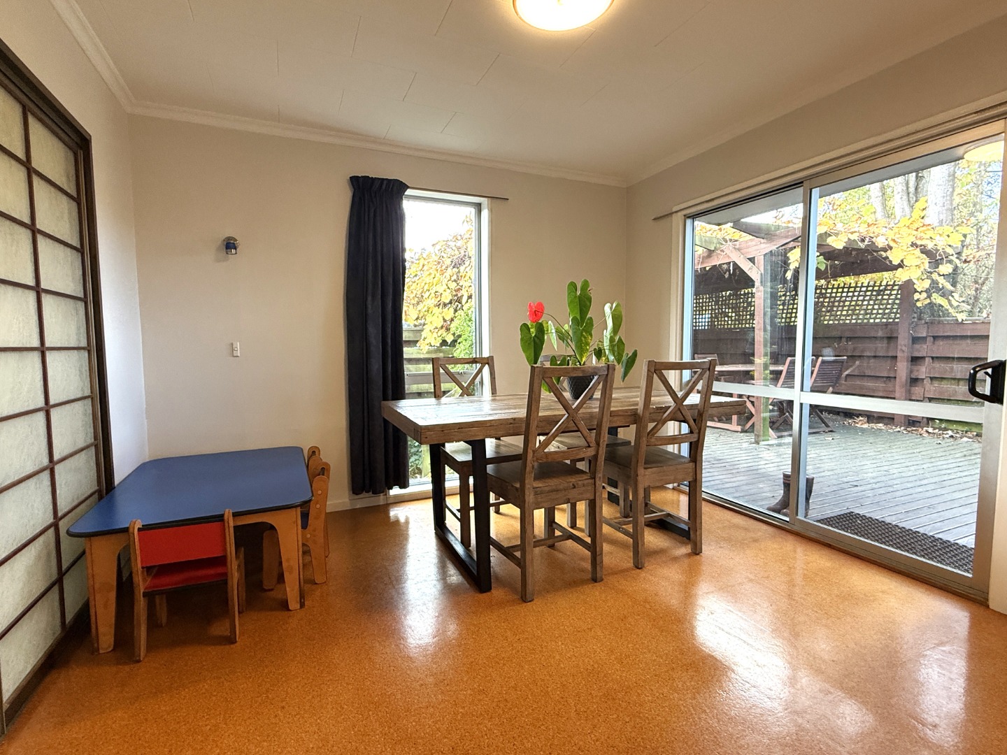 113 Warrington Street, St. Albans, Christchurch 