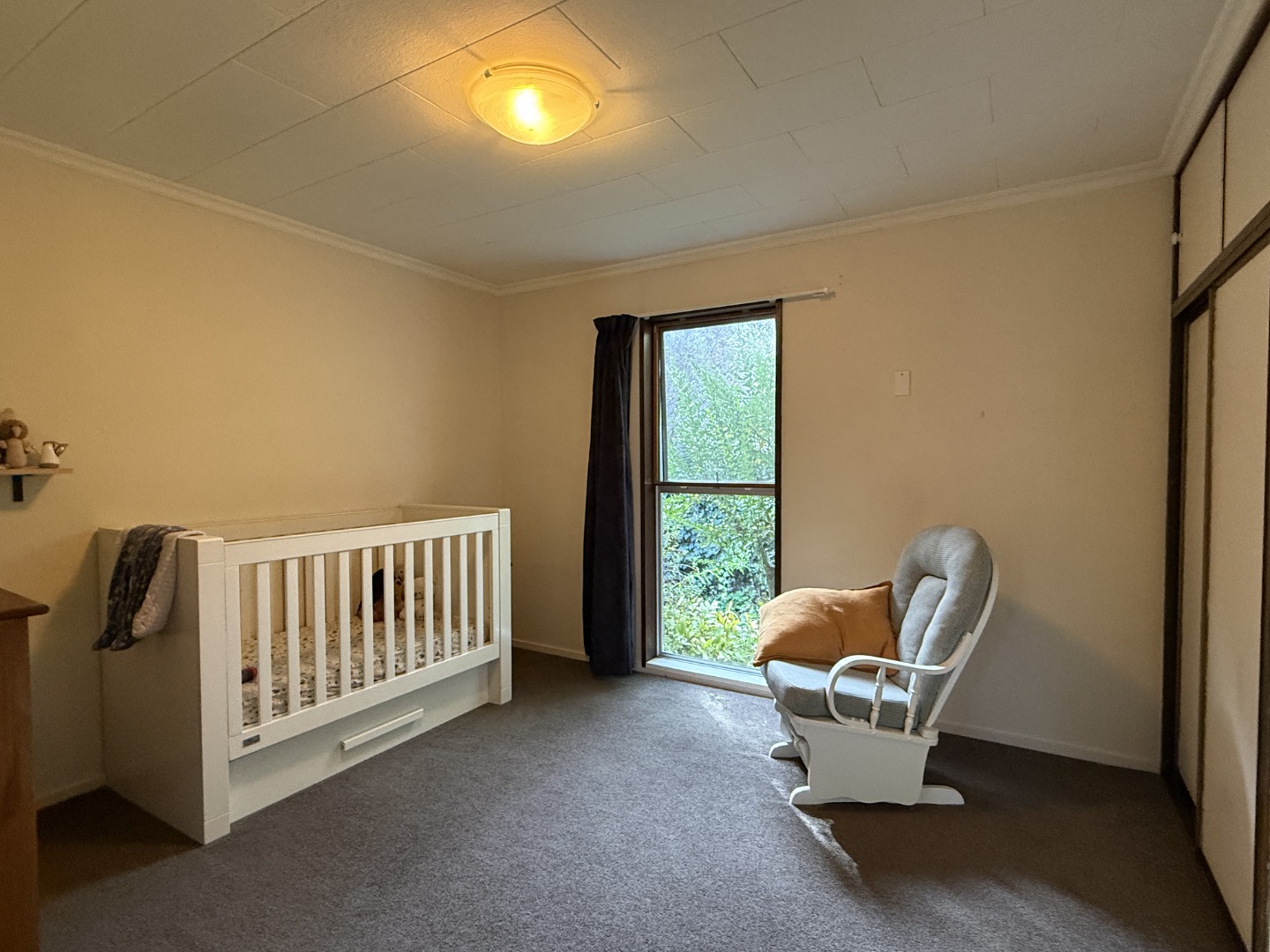 113 Warrington Street, St. Albans, Christchurch 