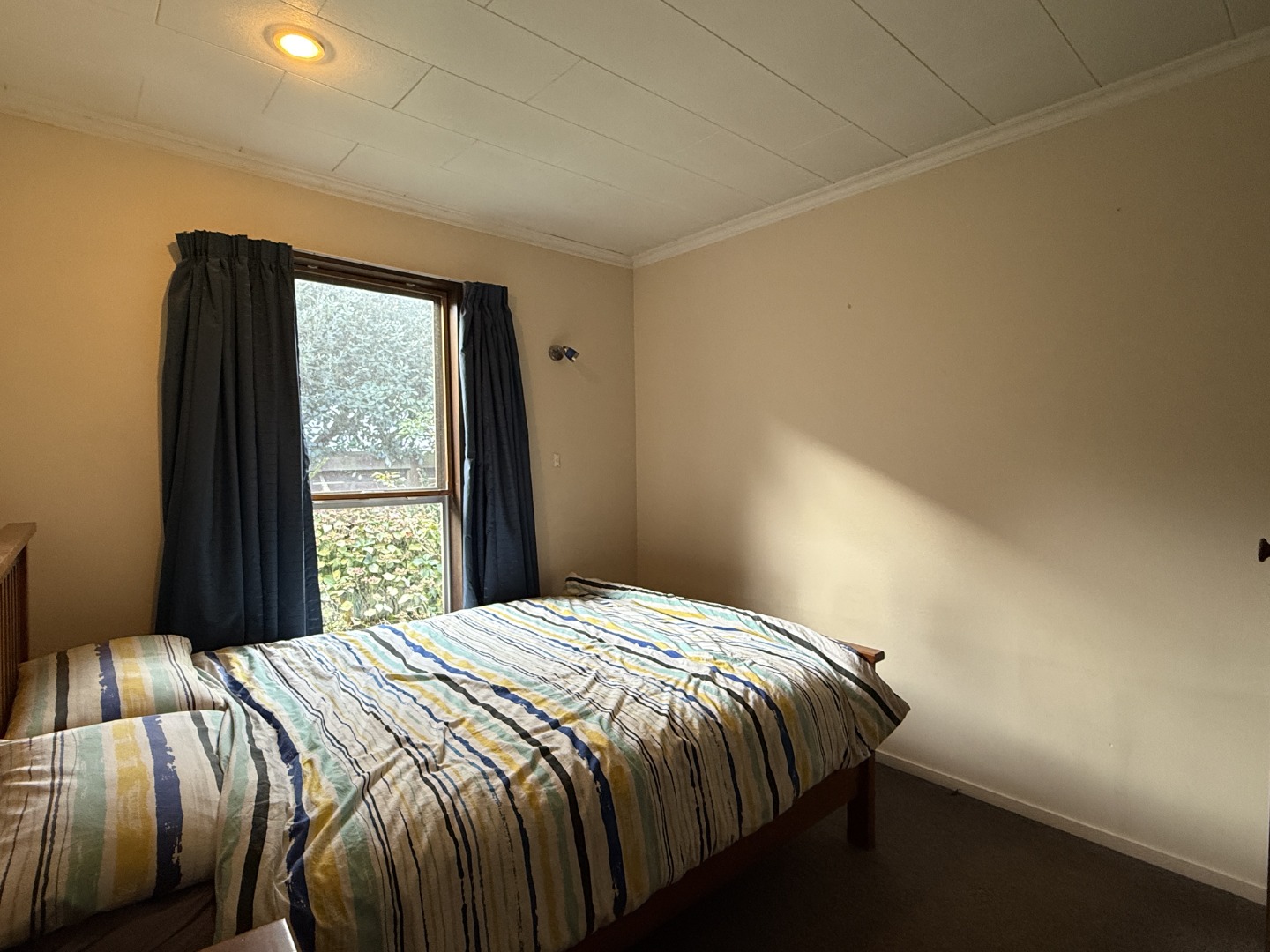 113 Warrington Street, St. Albans, Christchurch 