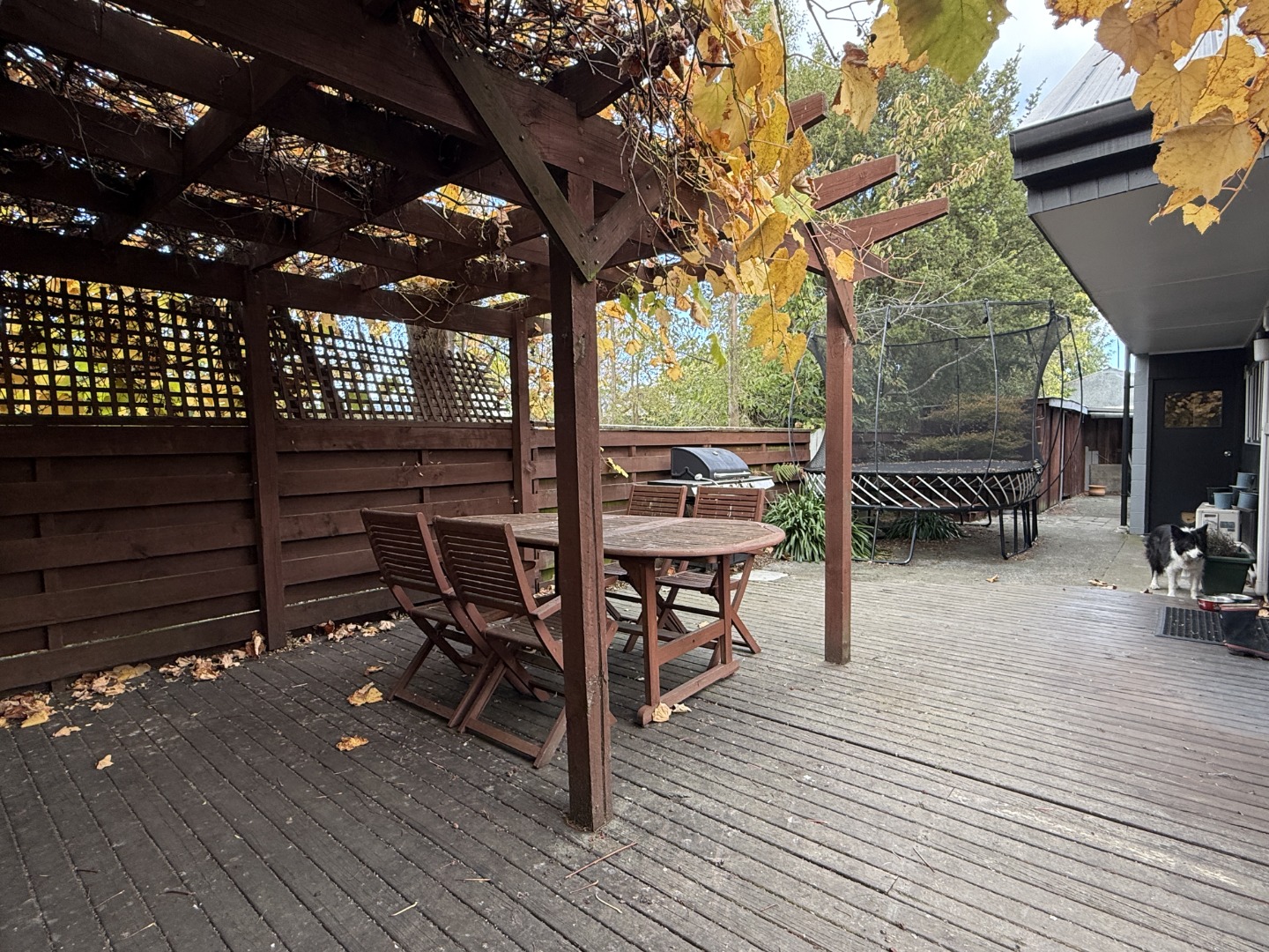 113 Warrington Street, St. Albans, Christchurch 