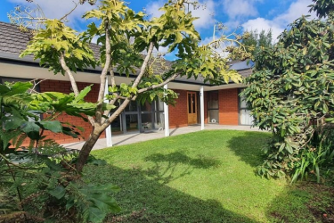 Christchurch Rentals