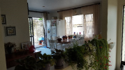 Thumbnail image of Unsworth Heights North Shore City House - 8