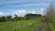 Thumbnail image of Taupaki Rodney House - 15