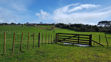 Photo of Taupaki Rodney House - 16