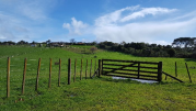 Thumbnail image of Taupaki Rodney House - 16