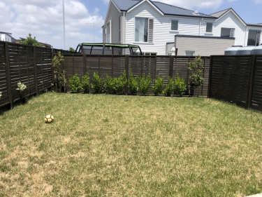 Photo of Hobsonville Waitakere City House - 4