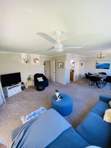 Photo of Takapuna North Shore City House - 4