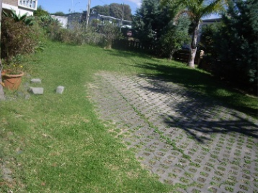 Photo of Mairangi Bay North Shore City Apartment - 11