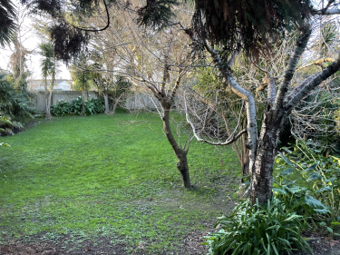 Photo of New Lynn Waitakere City House - 19