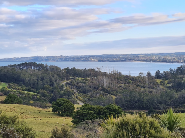Photo of Waiwera Rodney House - 5
