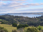 Thumbnail image of Waiwera Rodney House - 5