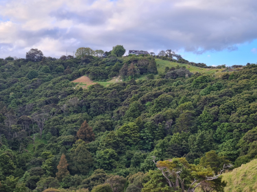 Photo of Waiwera Rodney House - 17