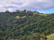 Thumbnail image of Waiwera Rodney House - 17