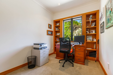 Photo of Albany North Shore City Lifestyle - 10