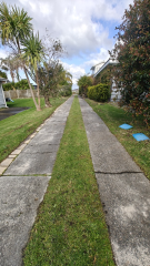 Thumbnail image of Castor Bay North Shore City Apartment - 5