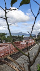 Thumbnail image of Castor Bay North Shore City Apartment - 8