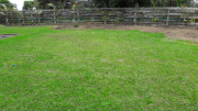 Thumbnail image of Glenfield North Shore City Unit - 5