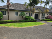 Thumbnail image of Dairy Flat Rodney House - 3