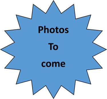 Photo of Sunnynook North Shore City House - 1