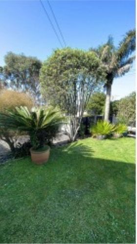 Photo of Onehunga Auckland City House - 33