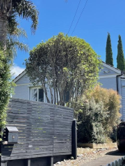 Thumbnail image of Onehunga Auckland City House - 1