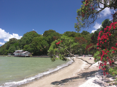Photo of Titirangi Waitakere City House - 14