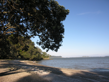 Photo of Titirangi Waitakere City House - 19