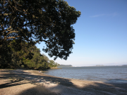 Thumbnail image of Titirangi Waitakere City House - 19