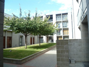 41/868 Colombo Street