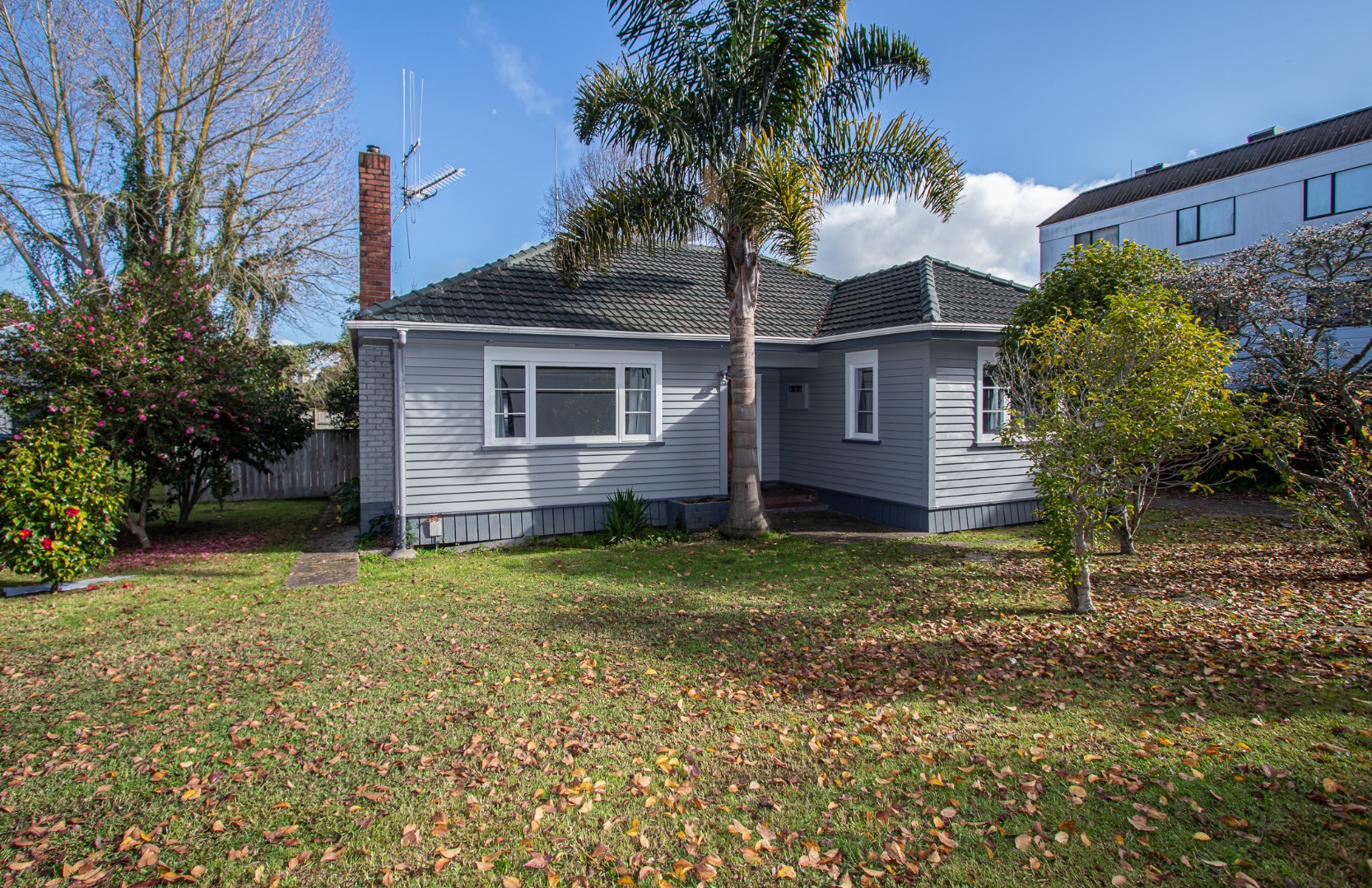 RBPR001155 - Image 1