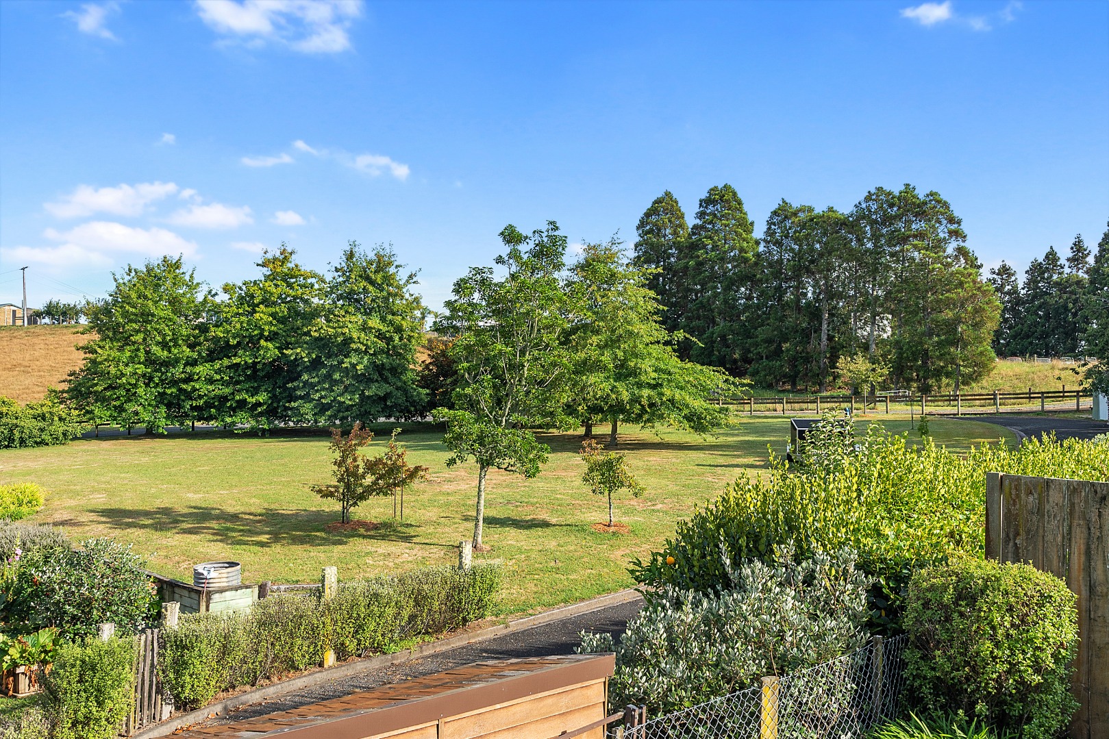 RBPR005568 - Image 3