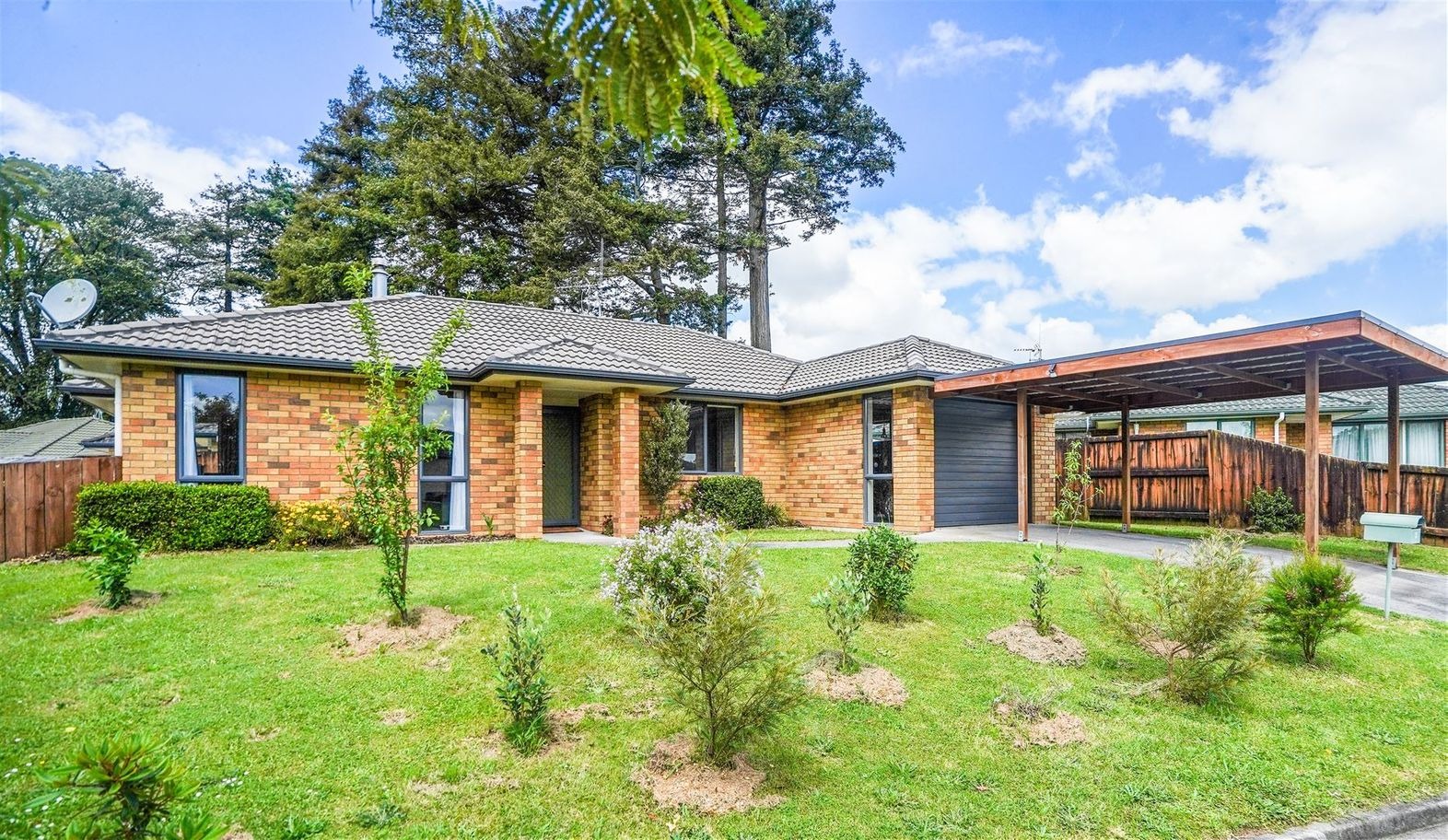 RBPR005764 - Image 1