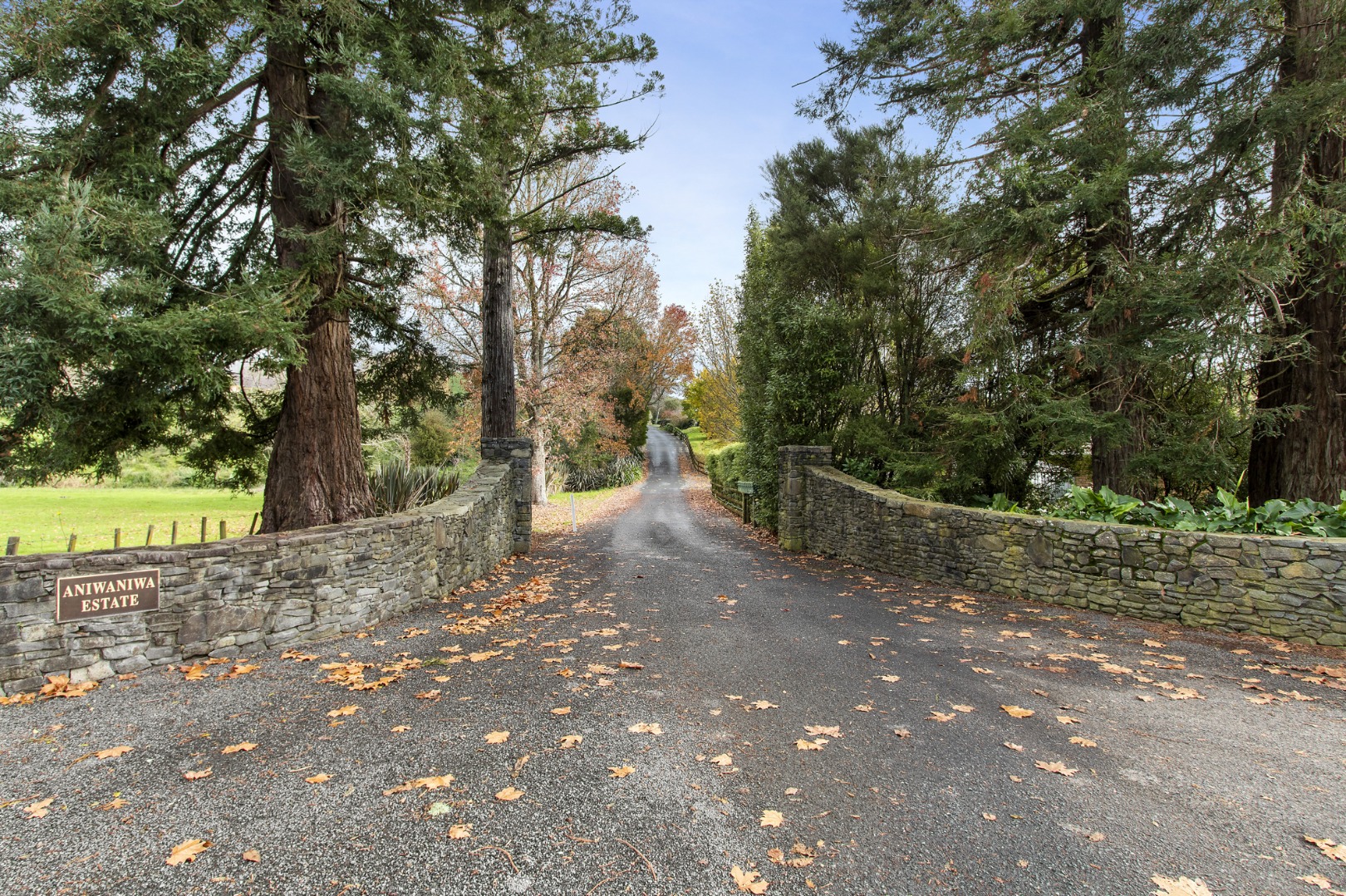 RBPR006086 - Image 25