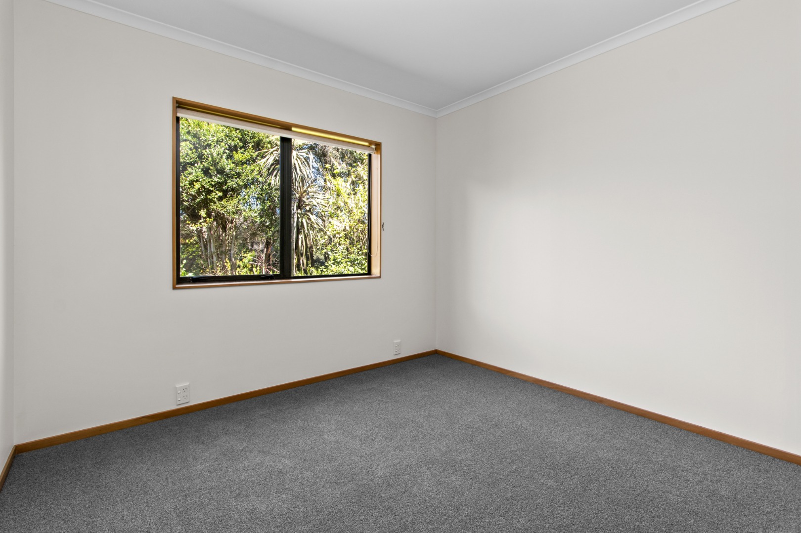 RBPR006154 - Image 13