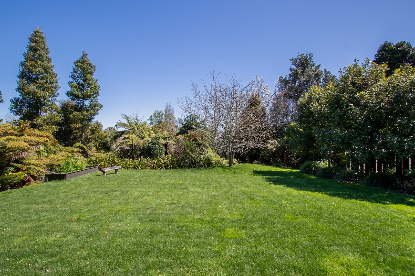 RBPR006154 - Image 2