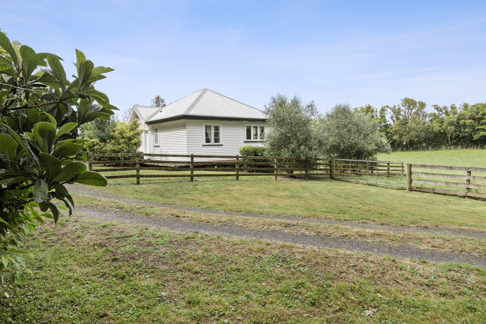 RBPR003845 - Image 1