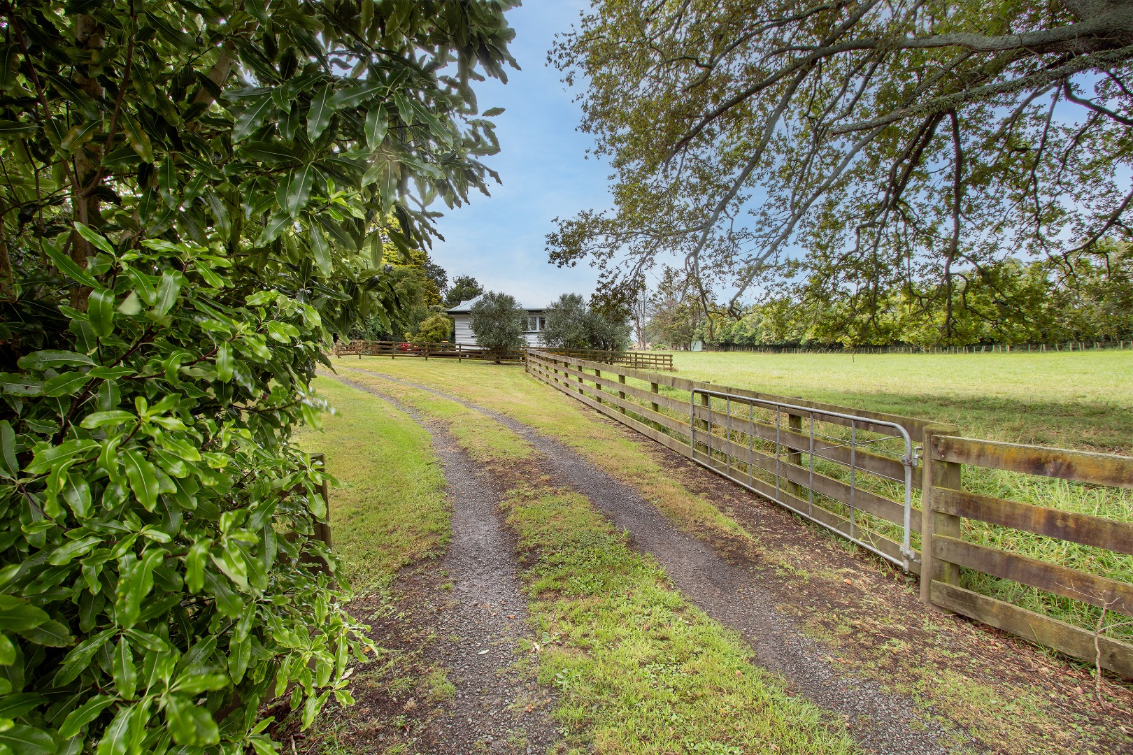 RBPR003845 - Image 12