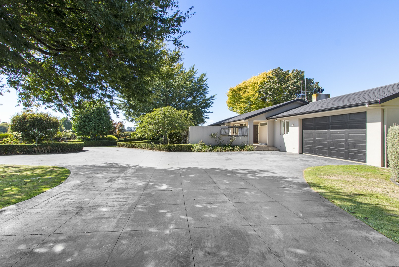 RBPR003945 - Image 2
