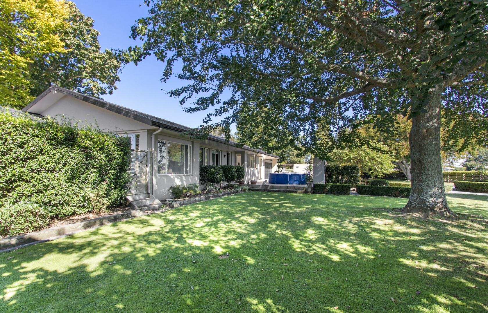 RBPR003945 - Image 3