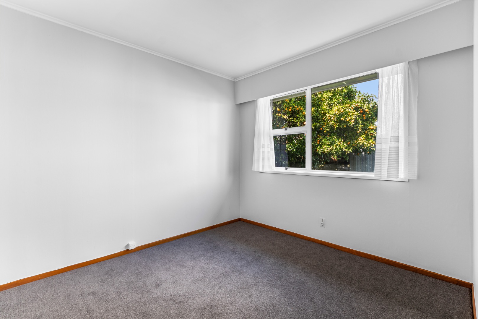 RBPR006503 - Image 2