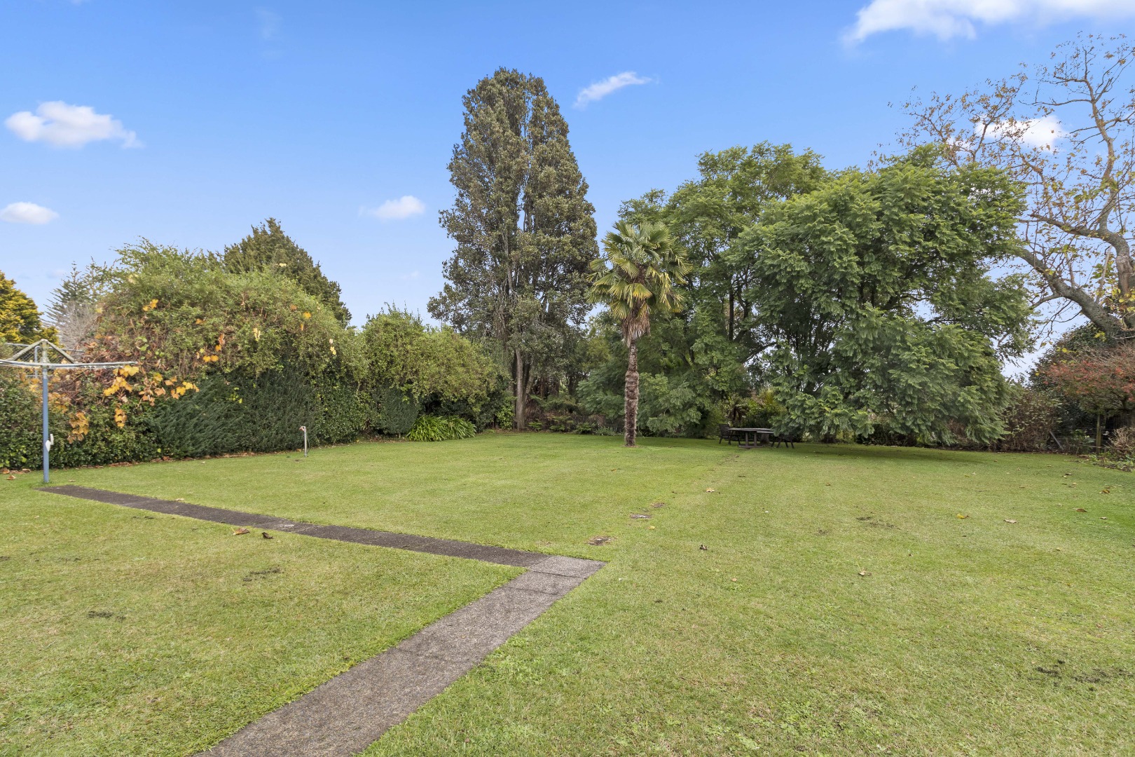RBPR003190 - Image 3