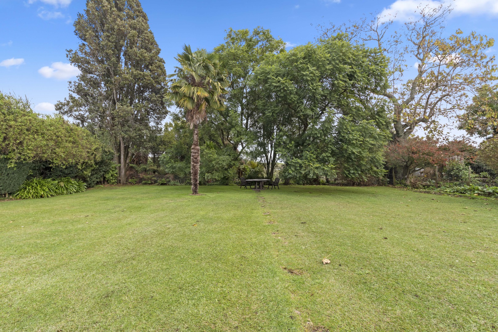 RBPR003190 - Image 4