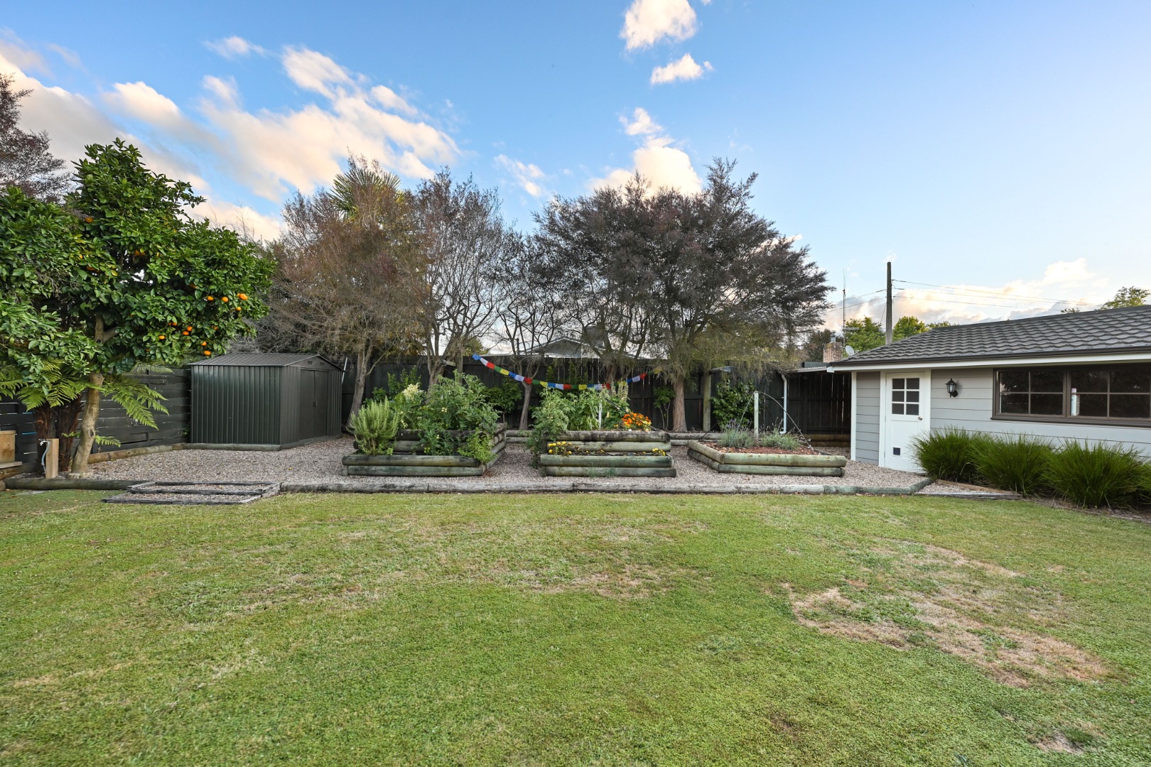 RBPR006278 - Image 5